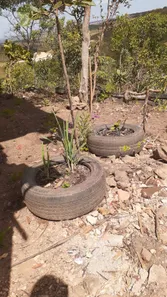 Fazenda / Sítio / Chácara à venda, 8010m² no Chácaras Quedas do Descoberto, Águas Lindas de Goiás