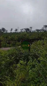 Fazenda / Sítio / Chácara à venda, 13176900m² no , Paranã