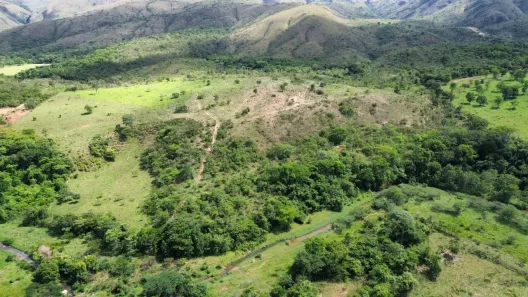 Fazenda / Sítio / Chácara à venda, 573360m² no , Padre Bernardo