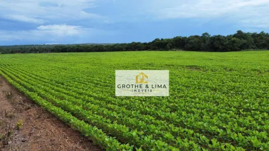 Fazenda / Sítio / Chácara com 10 Quartos à venda, 600m² no Jardim Tropical, Gurupi