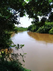 Fazenda / Sítio / Chácara com 3 Quartos à venda, 700000m² no , Anastácio