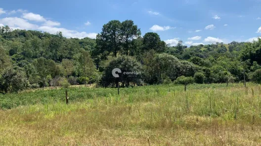 Fazenda / Sítio / Chácara à venda, 10000m² no , Santa Maria