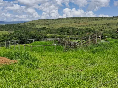 Fazenda / Sítio / Chácara com 3 Quartos à venda, 200000m² no Área Rural de Formosa, Formosa