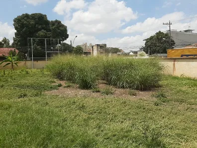 Terreno / Lote / Condomínio para venda ou aluguel, 653m² no Centro, Campos dos Goytacazes