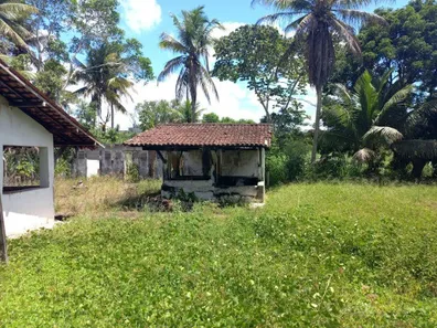 Fazenda / Sítio / Chácara à venda, 160000m² no Centro, Conde