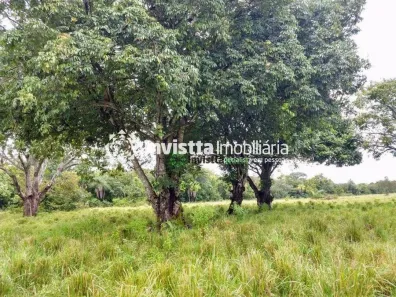Fazenda / Sítio / Chácara à venda, 654m² no Centro, Divinópolis do Tocantins