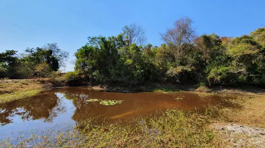 Terreno / Lote / Condomínio à venda, 20000m² no Centro, Fortuna de Minas
