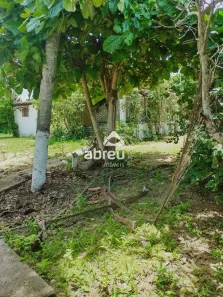Fazenda / Sítio / Chácara com 2 Quartos à venda, 200m² no , Taipu