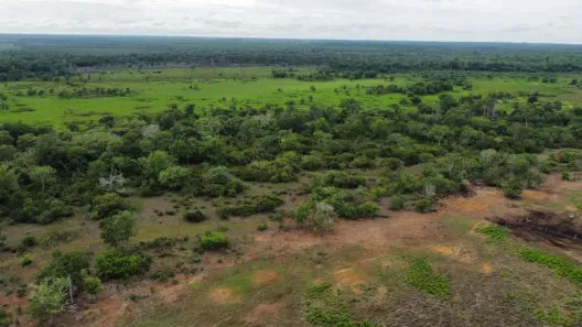 Fazenda / Sítio / Chácara com 3 Quartos à venda, 160m² no , Lagoa da Confusão