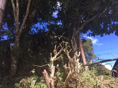 Terreno / Lote / Condomínio à venda, 10m² no Castelanea, Petrópolis