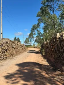 Fazenda / Sítio / Chácara à venda, 1000m² no Cocais, Ibiúna
