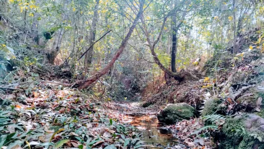 Fazenda / Sítio / Chácara à venda, 20000m² no Setor de Habitações Individuais Sul, Brasília