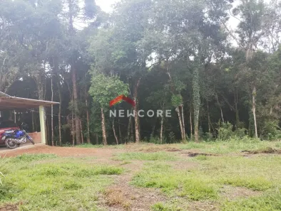 Fazenda / Sítio / Chácara com 2 Quartos à venda, 70m² no Roça Velha, São José dos Pinhais