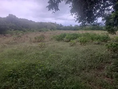 Fazenda / Sítio / Chácara à venda, 110000m² no Papucaia, Cachoeiras de Macacu