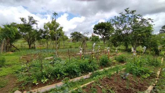 Fazenda / Sítio / Chácara com 5 Quartos à venda, 380m² no Núcleo Rural Lago Oeste, Brasília