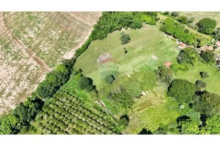 Fazenda / Sítio / Chácara à venda, 6500m² no Condomínio Rural Colméia, Jaguariúna