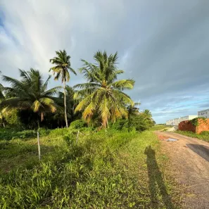 Terreno / Lote / Condomínio à venda, 42000m² no Centro, Barra dos Coqueiros