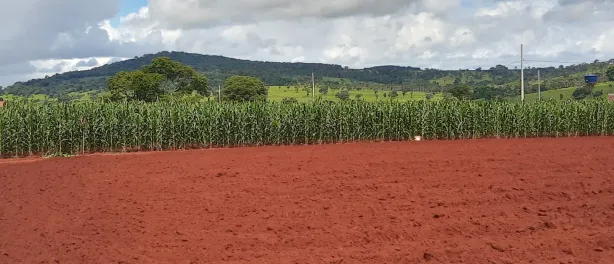 Fazenda / Sítio / Chácara à venda, 2000m² no Área Rural, Goianira