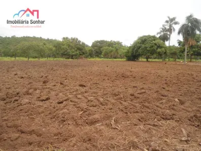 Fazenda / Sítio / Chácara com 2 Quartos à venda, 160m² no Centro, Pium