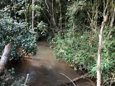 Fazenda / Sítio / Chácara com 4 Quartos à venda, 169000m² no Três Córregos, Campo Largo