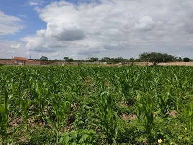 Terreno / Lote / Condomínio à venda, 1410m² no Maria Quitéria, Feira de Santana