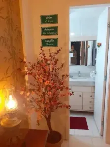 Apartamento com 3 Quartos à venda, 42m² no Afonso Pena, São José dos Pinhais