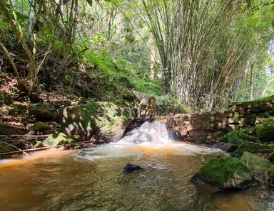 Fazenda / Sítio / Chácara com 4 Quartos à venda, 6000m² no Posse, Petrópolis
