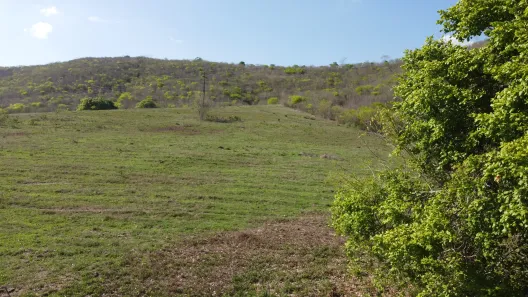 Fazenda / Sítio / Chácara à venda, 170m² no , Passira