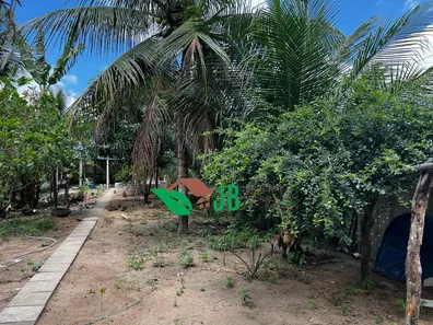 Fazenda / Sítio / Chácara com 2 Quartos à venda, 65m² no Centro, Santa Rita