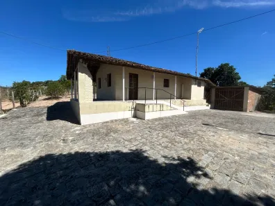 Fazenda / Sítio / Chácara com 2 Quartos à venda, 90000m² no , Sairé