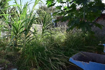 Galpão / Depósito / Armazém à venda, 300m² no Chácara da Galega, Pindamonhangaba