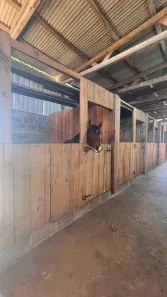 Fazenda / Sítio / Chácara com 6 Quartos à venda, 24200m² no Pacotuba, Almirante Tamandaré