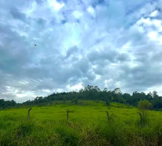 Fazenda / Sítio / Chácara à venda, 1000m² no Saboó, São Roque