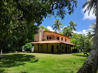 Fazenda / Sítio / Chácara com 4 Quartos à venda, 10000m² no Massagueira, Marechal Deodoro