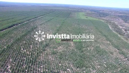 Fazenda / Sítio / Chácara à venda, 1050m² no , Rio Sono
