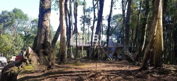 Fazenda / Sítio / Chácara com 2 Quartos à venda, 100m² no , Tijucas do Sul