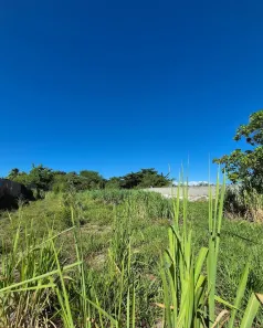 Terreno / Lote / Condomínio à venda, 2000m² no Jauá (Abrantes), Camaçari