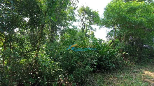 Fazenda / Sítio / Chácara à venda, 13000m² no , Corbélia