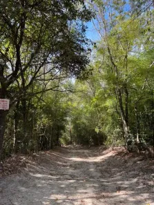 Fazenda / Sítio / Chácara com 3 Quartos à venda, 67300m² no , Taquaraçu de Minas