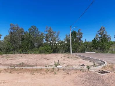 Terreno / Lote / Condomínio à venda, 453m² no Tomazetti, Santa Maria