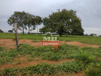 Fazenda / Sítio / Chácara à venda, 500m² no , Pium