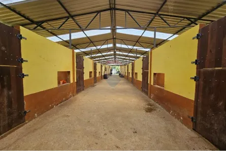Fazenda / Sítio / Chácara com 4 Quartos para alugar, 53800m² no Rui Sanglard, Nova Friburgo