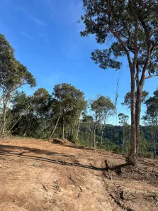 Terreno / Lote / Condomínio à venda, 1000m² no Saboó, São Roque
