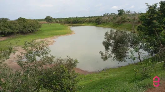 Fazenda / Sítio / Chácara com 1 Quarto à venda, 130m² no , Formoso do Araguaia