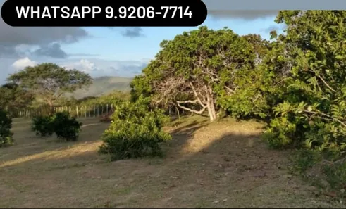 Fazenda / Sítio / Chácara à venda, 23500m² no Alpes Suiços, Gravatá