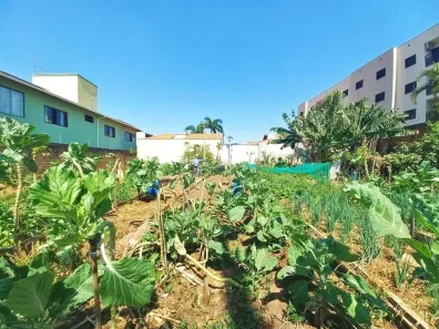 Terreno / Lote / Condomínio para alugar, 443m² no Vila Solar, Limeira