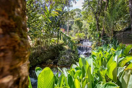 Casa de Condomínio com 4 Quartos à venda, 12640m² no , Caeté