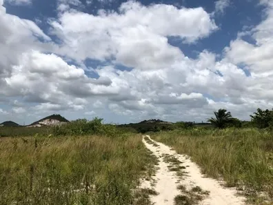 Terreno / Lote / Condomínio à venda, 60000m² no Parque de Dias Davila, Dias D'Ávila