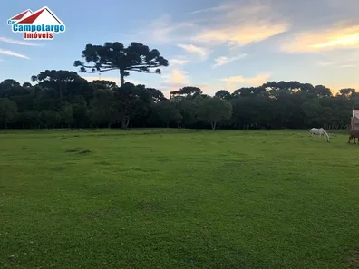 Terreno / Lote / Condomínio à venda, 32697m² no Jardim Céu Azul, Campo Largo