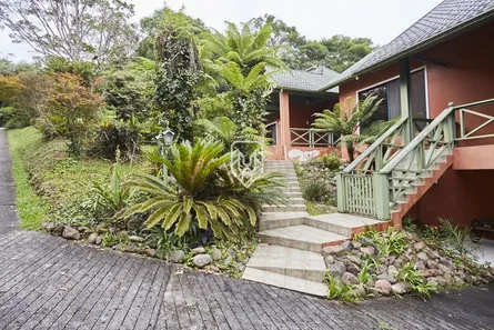 Fazenda / Sítio / Chácara com 4 Quartos à venda, 800m² no Guarani, Colombo